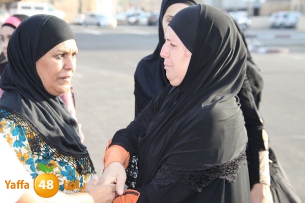 7ojaj plane 102 (9) (Copy).JPG